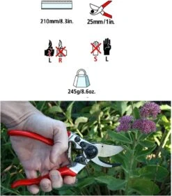 Felco 2 + GRATIS Felco Handschoenen In Cadeauverpakking -Tuingereedschap Winkel 1056x1200