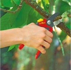 WOLF-Garten Snoeischaar "Premium Plus" RS 4000 - Aambeeld - Max. Knipdiameter 25 Mm - Links- En Rechtshandige - Softinleg Handgreep - Snijhoek 30° - Voor Grote Handen - Vervangbare Messen En Aambeeld 15 WOLF-Garten Snoeischaar "Premium Plus" RS 4000 - Aambeeld - Max. Knipdiameter 25 Mm - Links- En Rechtshandige - Softinleg Handgreep - Snijhoek 30° - Voor Grote Handen - Vervangbare Messen En Aambeeld -Tuingereedschap Winkel 1200x1195 1