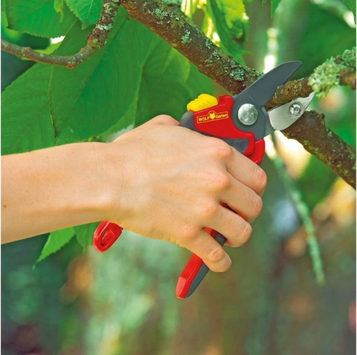 WOLF-Garten Snoeischaar "Premium Plus" RS 4000 - Aambeeld - Max. Knipdiameter 25 Mm - Links- En Rechtshandige - Softinleg Handgreep - Snijhoek 30° - Voor Grote Handen - Vervangbare Messen En Aambeeld 8 WOLF-Garten Snoeischaar "Premium Plus" RS 4000 - Aambeeld - Max. Knipdiameter 25 Mm - Links- En Rechtshandige - Softinleg Handgreep - Snijhoek 30° - Voor Grote Handen - Vervangbare Messen En Aambeeld - Afbeelding 6