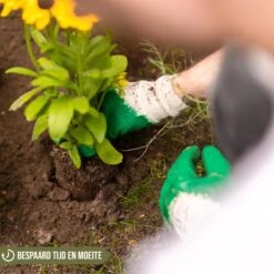 Merkloos Grondboor Voor Planten - 25 CM - Palenboor - Moestuin - Bollenplanter - Zwart 13 Merkloos Grondboor Voor Planten - 25 CM - Palenboor - Moestuin - Bollenplanter - Zwart -Tuingereedschap Winkel 1200x1200 154