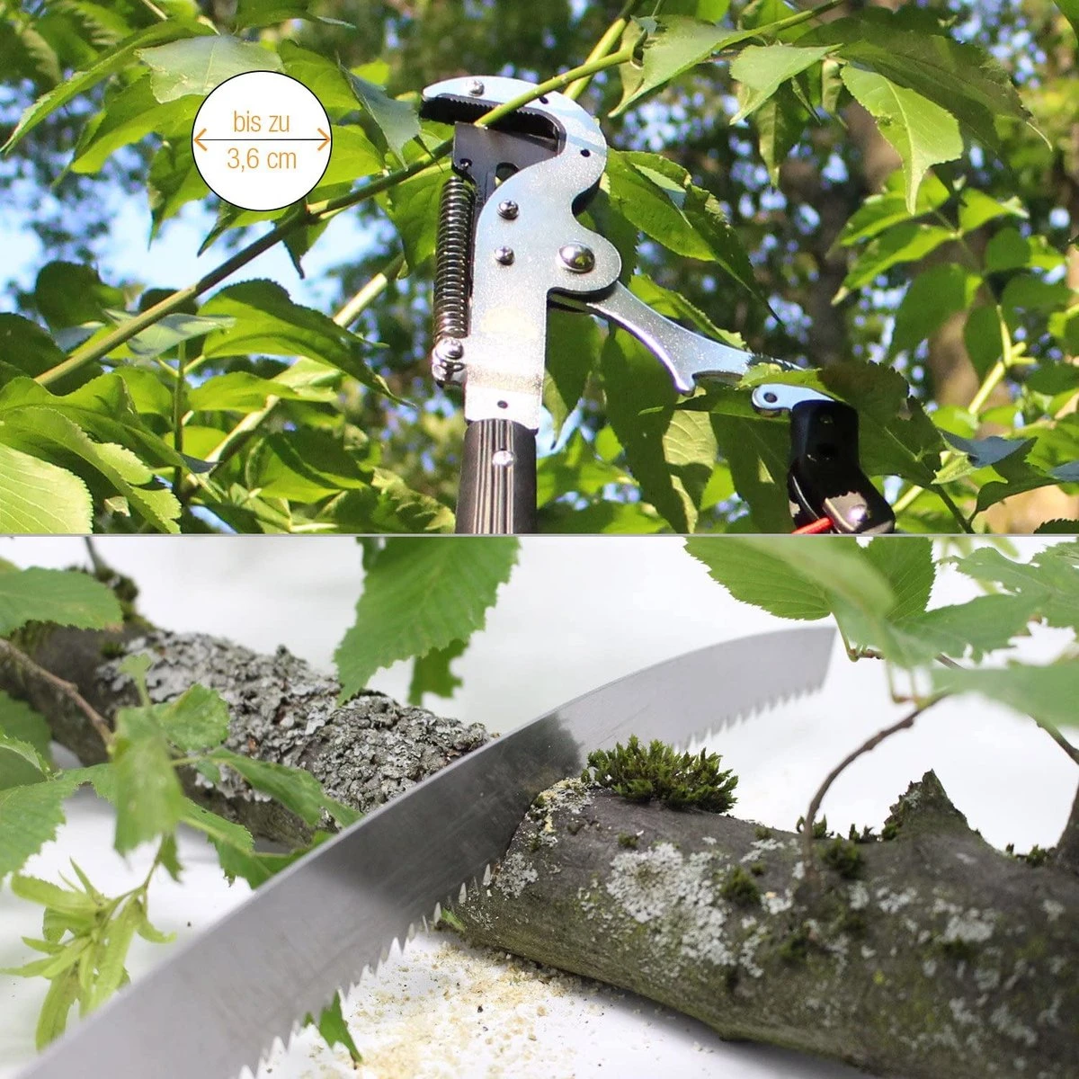 Iceberk Snoeischaar + Snoeizaag (1,45 - 3,70 M) - Telescopische Snoeischaar Voor Het Snoeien Van Bomen En Dichte Struiken Zonder Ladder 7 Iceberk Snoeischaar + Snoeizaag (1,45 - 3,70 M) - Telescopische Snoeischaar Voor Het Snoeien Van Bomen En Dichte Struiken Zonder Ladder - Afbeelding 5
