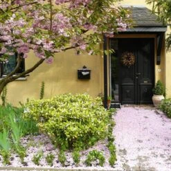 Talen Tools - Voetenveger - Dubbel - Harde Kunststof Borstels -Tuingereedschap Winkel 1200x1200 234