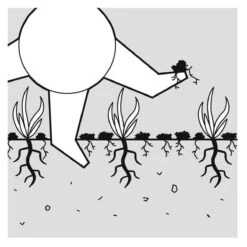 GARDENA EVC 1000 Verticuteermachine - Werkbreedte 30 Cm - Werkgebied 600m2 -Tuingereedschap Winkel 1200x1200 641