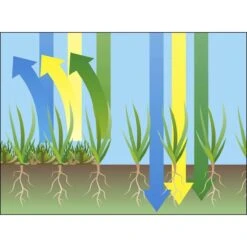GARDENA EVC 1000 Verticuteermachine - Werkbreedte 30 Cm - Werkgebied 600m2 -Tuingereedschap Winkel 1200x1200 642