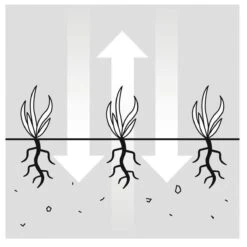 GARDENA EVC 1000 Verticuteermachine - Werkbreedte 30 Cm - Werkgebied 600m2 -Tuingereedschap Winkel 1200x1200 643