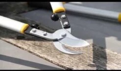 Hendrik Jan - Takkenschaar - Aluminium - Aambeeld - 62 Cm -Tuingereedschap Winkel 1200x704