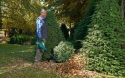 Bosch ALB 36 LI - Bladblazer - Met 36 V Accu En Lader 17 Bosch ALB 36 LI - Bladblazer - Met 36 V Accu En Lader -Tuingereedschap Winkel 1200x747 3