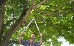 Gardena EasyCut Takkenschaar 68B + Classic Snoeischaar 8754 Display 1stuk 12003-30 -Tuingereedschap Winkel 1200x749 2