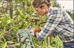 Stihl Accu Mini Kettingzaag SET - Snoeischaar - Snoeizaag - Hand Kettingzaag - Professioneel- Hovenier- Tuinman 13 Stihl Accu Mini Kettingzaag SET - Snoeischaar - Snoeizaag - Hand Kettingzaag - Professioneel- Hovenier- Tuinman -Tuingereedschap Winkel 1200x779