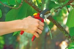 WOLF-Garten Snoeischaar "Premium Plus" RS 4000 - Aambeeld - Max. Knipdiameter 25 Mm - Links- En Rechtshandige - Softinleg Handgreep - Snijhoek 30° - Voor Grote Handen - Vervangbare Messen En Aambeeld 14 WOLF-Garten Snoeischaar "Premium Plus" RS 4000 - Aambeeld - Max. Knipdiameter 25 Mm - Links- En Rechtshandige - Softinleg Handgreep - Snijhoek 30° - Voor Grote Handen - Vervangbare Messen En Aambeeld -Tuingereedschap Winkel 1200x798 3