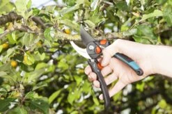 GARDENA - Comfort B/S-XL Bypass - Snoeischaar - Ø 24 Mm - 25 Jaar Garantie -Tuingereedschap Winkel 1200x799 14