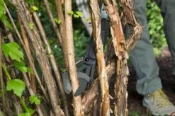 GARDENA - SlimCut Takkenschaar -28mm- Met Hefboommechanisme 14 GARDENA - SlimCut Takkenschaar -28mm- Met Hefboommechanisme -Tuingereedschap Winkel 1200x799 20