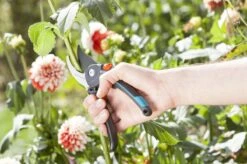 GARDENA Comfort B/M Bypass Snoeischaar - Ø 24mm - Met Sapgeul -Tuingereedschap Winkel 1200x799 41