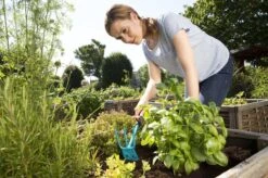 GARDENA Combisystem Tuinhak - Werkbreedte 6,5cm - 25 Jaar Garantie 22 GARDENA Combisystem Tuinhak - Werkbreedte 6,5cm - 25 Jaar Garantie -Tuingereedschap Winkel 1200x799 75