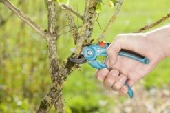 GARDENA Classic Aambeeld Snoeischaar - Ø 18 Mm -Tuingereedschap Winkel 1200x799 8