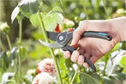 GARDENA Comfort B/M Bypass Snoeischaar - Ø 24mm - Met Sapgeul -Tuingereedschap Winkel 1200x800 111