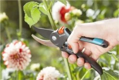 GARDENA Comfort B/M Bypass Snoeischaar - Ø 24mm - Met Sapgeul -Tuingereedschap Winkel 1200x800 113