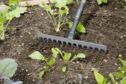 Gardena NatureLine Hark | 36 Cm | FSC 100% - 17106-20 -Tuingereedschap Winkel 1200x800 117