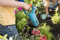 GARDENA Bollenplanter - Diepteaanduiding - Automatische Aardeloslating 14 GARDENA Bollenplanter - Diepteaanduiding - Automatische Aardeloslating -Tuingereedschap Winkel 1200x800 118