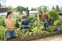 GARDENA Combisystem Bladharkje - Werkbreedte 12 Cm - 25 Jaar Garantie -Tuingereedschap Winkel 1200x800 121