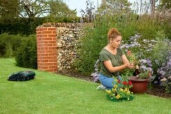 Bosch Indego S+ 500 Robotmaaier - Voor Gazons Tot 500 M2 - Incl. Laadstation En Accessoires - Connected 21 Bosch Indego S+ 500 Robotmaaier - Voor Gazons Tot 500 M2 - Incl. Laadstation En Accessoires - Connected -Tuingereedschap Winkel 1200x800 213