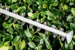 Bosch UniversalHedgeCut 60 Heggenschaar - Op Snoer - Lengte 60 Cm 14 Bosch UniversalHedgeCut 60 Heggenschaar - Op Snoer - Lengte 60 Cm -Tuingereedschap Winkel 1200x800 28