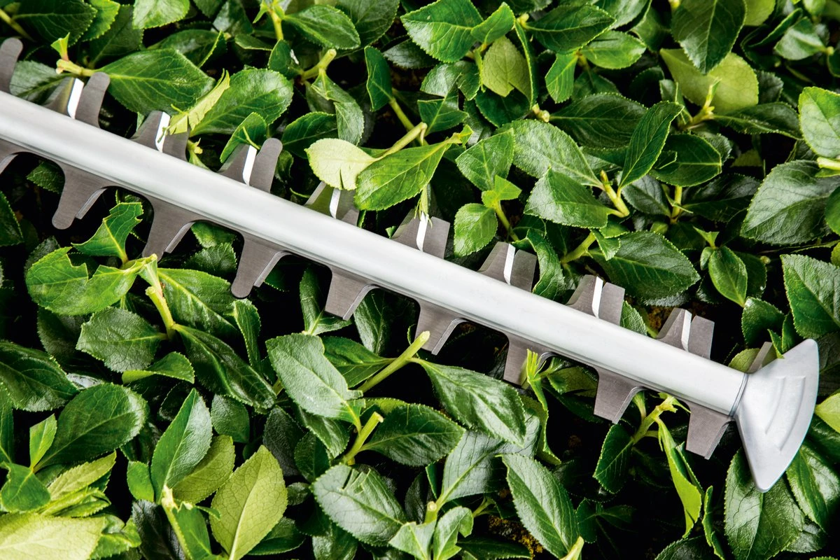 Bosch UniversalHedgeCut 60 Heggenschaar - Op Snoer - Lengte 60 Cm 6 Bosch UniversalHedgeCut 60 Heggenschaar - Op Snoer - Lengte 60 Cm - Afbeelding 4