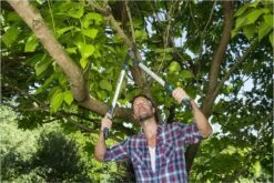 GARDENA EnergyCut Takkenschaar 75B - 42mm 13 GARDENA EnergyCut Takkenschaar 75B - 42mm -Tuingereedschap Winkel 1200x800 30