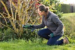 Bosch KEO 18 Accu Tuinzaagmachine - Snijdiameter Van 80 Mm - Met 18 V Accu En Lader 33 Bosch KEO 18 Accu Tuinzaagmachine - Snijdiameter Van 80 Mm - Met 18 V Accu En Lader -Tuingereedschap Winkel 1200x800 42