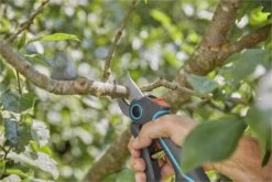 GARDENA AssistCut Snoeischaar- Ø 25mm 24 GARDENA AssistCut Snoeischaar- Ø 25mm -Tuingereedschap Winkel 1200x800 46