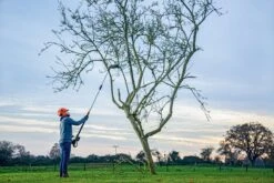 Bosch UniversalHedgePole 18 Heggenschaar Op Steel - Met 18 V Accu En Lader -Tuingereedschap Winkel 1200x800 53