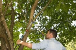 Gardena TeleCut Takkenschaar 650-900 B - Uitschuifbare Armen - Tot Max 90 Cm -Tuingereedschap Winkel 1200x800 62