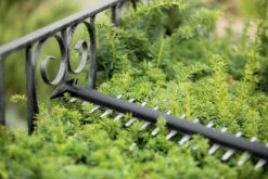 Bosch UniversalHedgeCut 18-55 Heggenschaar - Zonder 18V Accu En Oplader -Tuingereedschap Winkel 1200x800 67