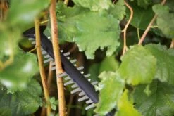 Bosch UniversalHedgeCut 18-55 Heggenschaar - Zonder 18V Accu En Oplader -Tuingereedschap Winkel 1200x800 70