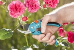 GARDENA - Classic B/S-M Bypass Snoeischaar - Ø 22mm - 25 Jaar Garantie -Tuingereedschap Winkel 1200x800 77