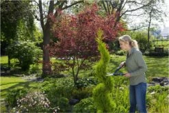 GARDENA PrecisionCut Buxusschaar - Meslengte 18 Cm - Vormsnoeien -Tuingereedschap Winkel 1200x800 96