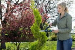 GARDENA PrecisionCut Buxusschaar - Meslengte 18 Cm - Vormsnoeien -Tuingereedschap Winkel 1200x800 97