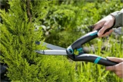 GARDENA PrecisionCut Buxusschaar - Meslengte 18 Cm - Vormsnoeien -Tuingereedschap Winkel 1200x800 98