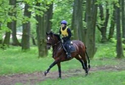 Aqua2Go GD86 Staand Electrische Pressure Washer - 20 Liter Tank - Afneembare Pomp -Tuingereedschap Winkel 1200x817 6