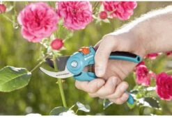 GARDENA - Classic B/S-M Bypass Snoeischaar - Ø 22mm - 25 Jaar Garantie -Tuingereedschap Winkel 1200x825 10
