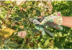 Bosch EasyPrune Accu Snoeischaar - 3.6 V Accu - USB -Tuingereedschap Winkel 1200x825 15