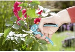 GARDENA 08853-20 Gardena Tuinschaar -Tuingereedschap Winkel 1200x825 9