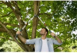 Gardena TeleCut Takkenschaar 650-900 B - Uitschuifbare Armen - Tot Max 90 Cm -Tuingereedschap Winkel 1200x826