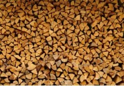 Steko Houtsplijter Voor Grote Blokken - Voor Aanmaakhout & Brandhout - Houtklover - Houtkliever - Splijtwig - Handmatig - Overal Te Gebruiken 1605 Gram - Metaal - Kloofwig - HOGE VOLUMEKORTING 10 Steko Houtsplijter Voor Grote Blokken - Voor Aanmaakhout & Brandhout - Houtklover - Houtkliever - Splijtwig - Handmatig - Overal Te Gebruiken 1605 Gram - Metaal - Kloofwig - HOGE VOLUMEKORTING -Tuingereedschap Winkel 1200x837 2