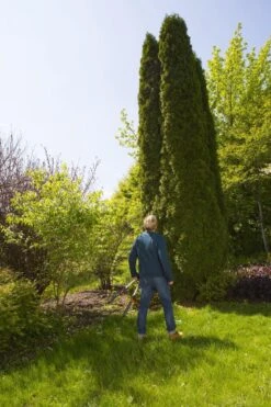 GARDENA TeleCut Heggenschaar - Telescopische Handgrepen Van 70-90 Cm 18 GARDENA TeleCut Heggenschaar - Telescopische Handgrepen Van 70-90 Cm -Tuingereedschap Winkel 799x1200 21