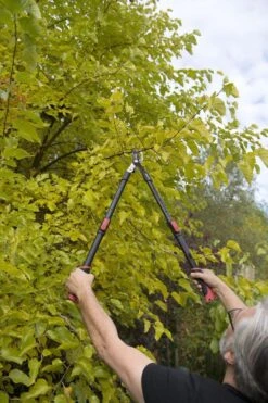 Kreator KRTGR4003 Telescopische Takkenschaar – Jong Hout - Knipdiameter: Ø34 Mm 9 Kreator KRTGR4003 Telescopische Takkenschaar – Jong Hout - Knipdiameter: Ø34 Mm -Tuingereedschap Winkel 800x1200 14