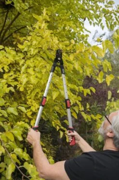 Kreator KRTGR4013 Telescopische Takkenschaar - 63-89 Cm Totale Lengte - . Ø39 Mm Knipdiameter 9 Kreator KRTGR4013 Telescopische Takkenschaar - 63-89 Cm Totale Lengte - . Ø39 Mm Knipdiameter -Tuingereedschap Winkel 800x1200 15