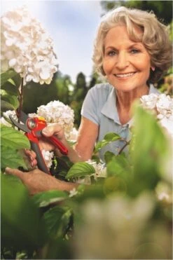 WOLF-Garten Snoeischaar "Premium Plus" RR 4000 - Max. Knipdiameter 22 Mm - Links- En Rechtshandige - Softinleg Handgreep - Snijhoek 30° - Voor Grote Handen - Vervangbare Messen -Tuingereedschap Winkel 800x1200 5