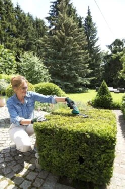 Bosch ISIO Gen III Accu Buxusschaar + Grasschaar 10 Bosch ISIO Gen III Accu Buxusschaar + Grasschaar -Tuingereedschap Winkel 800x1200 6