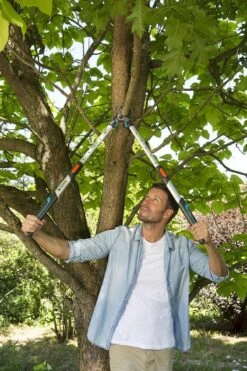 Gardena TeleCut Takkenschaar 650-900 B - Uitschuifbare Armen - Tot Max 90 Cm -Tuingereedschap Winkel 800x1200 9